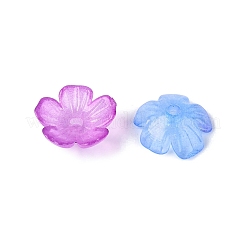 Transparente Perlenkappen aus Kunststoff&nbsp;KY-Q005-02A-M02