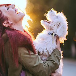 Сплав домашних животных собаки кошки идентификационные жетоны&nbsp;HJEW-DR00050