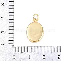 Messing Anhänger & Charms&nbsp;KK-H273-47G-03
