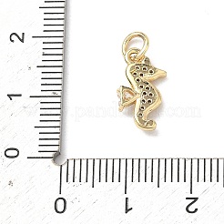 Pendentifs en laiton zircon cubique transparent&nbsp;KK-H255-12G-01