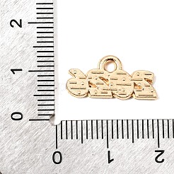 Pendentifs d'émail en alliage&nbsp;ENAM-D319-01KCG-06