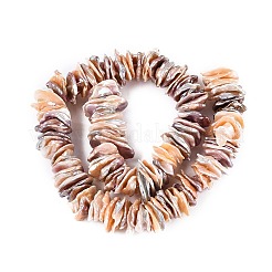 Perles de perles de keshi baroques naturelles&nbsp;PEAR-S020-R07B