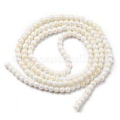 Гальванические непрозрачные стеклянные бусины&nbsp;EGLA-K014-A-B01