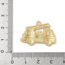 Подвески из эмали и сплава&nbsp;FIND-C074-01A