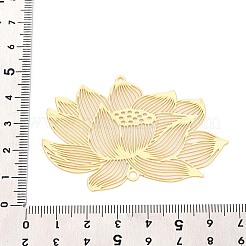 Прелести железного соединителя&nbsp;IFIN-N013-02G