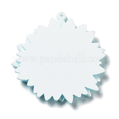 Colgantes acrílicos transparentes impresos&nbsp;SACR-P029-B03
