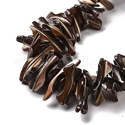 Природные trochid бусы нити&nbsp;LS-SSHEL-G023-05A