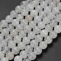 Нити бусин из натурального белого нефрита&nbsp;G-L642-B01-8mm