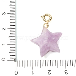 Decorazioni pendenti a forma di stella con pietre preziose naturali e sintetiche&nbsp;G-B188-05G
