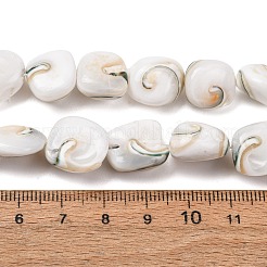Fili di perline di conchiglie naturali&nbsp;SH-CBAFA8D-01