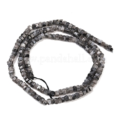 Натуральные нити бус из ларвикита&nbsp;G-G345-C05-2x4mm