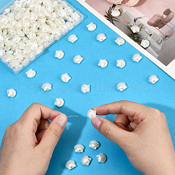 200шт бусины из искусственного жемчуга из АБС-пластика&nbsp;OACR-LT0001-10