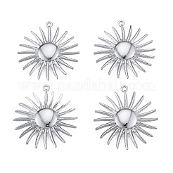 Pendentifs en acier inoxydable 304 anti-ternissement&nbsp;LS-STAS-N098-205P