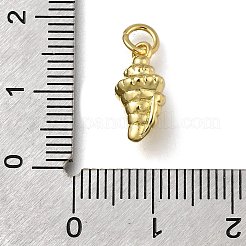 Messing Anhänger & Charms&nbsp;ZIRC-I070-089G