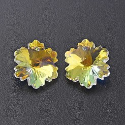 Breloques en verre électrolytique&nbsp;EGLA-N006-015D
