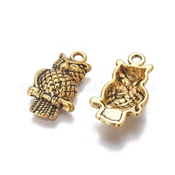 Pendentifs en alliage de style tibétain&nbsp;TIBEP-LF10093YKG-AG-LF
