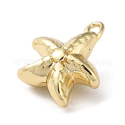 Латуни кулон&nbsp;KK-H450-01H-G