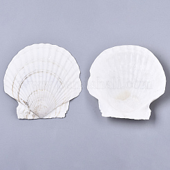 Natürlichen Muschelperlen&nbsp;SSHEL-S258-72