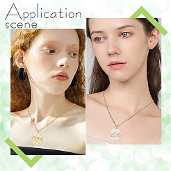 12 шт. подвески из нержавеющей стали 201 двух цветов&nbsp;STAS-DC0011-01