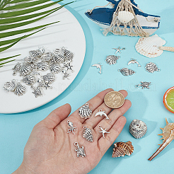 120 pièces 6 styles pendentifs en alliage de style tibétain&nbsp;FIND-CA0010-53