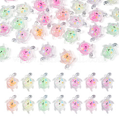 30 pendentif en acrylique transparent et poudre pailletée&nbsp;TACR-TA0001-91