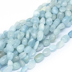 Chapelets de perles en aigue-marine naturelle, puce, 7~14x7~8x3.5~7mm, Trou: 0.7mm, Environ 44 pcs/chapelet, 15.75 pouce (40 cm)