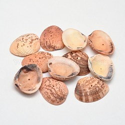 Perle di conchiglie naturali tinte, sabbia marrone, 32~37x20~29x8~10mm, Foro: 1 mm, circa 100pcs/500g