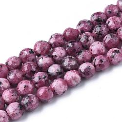 Chapelets de perles en jaspe sésame naturel / jaspe kiwi, teinte, facette, ronde, 6mm, Trou: 1mm, Environ 60~61 pcs/chapelet, 14.7~15 pouce
