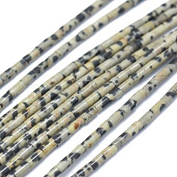 Природные яшмы далматин бисер нитей, колонка, 4~5x2~2.5 мм, отверстие : 0.6~0.8 мм, около 90~102 шт / нитка, 15.3~15.7 дюйм (39~40 см)