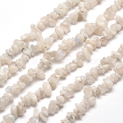 Natural Rainbow Moonstone Chip Bead Strands, 5~8x5~8mm, Hole: 1mm, about 31.5 inch