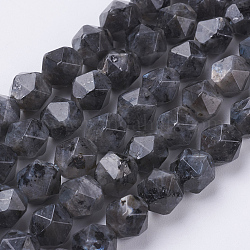 Natürliche schwarze Larvikit-Perlenstränge, facettiert, Runde, 8x7 mm, Bohrung: 1 mm, ca. 49 Stk. / Strang, 15.3 Zoll (39 cm)