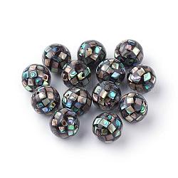 Perles de coquillage paua naturel, ronde, noir, 10mm, Trou: 1mm