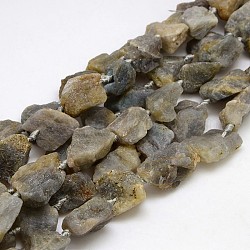 Natural Raw Rough Gemstone Labradorite Beads Strands, Nuggets, 13~35x8~28mm, Hole: 2mm, about 15~19pcs/strand, 15.74 inch