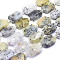 Perles d'opale naturelle brins, facette, pépites, 20.5~25x16.5~18x6.5~7.5mm, Trou: 2mm, Environ 15 pcs/chapelet, 15.55 pouce (39.5 cm)