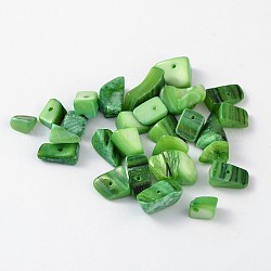 Natural Freshwater Shell Chips Beads, Shell Shards, Dyed, Medium Spring Green, 8~17x5~7x4~6mm, Hole: 1mm, about 640pcs/500g