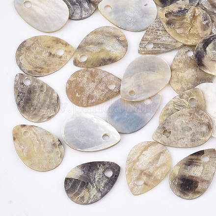 Encantos naturales de conchas de akoya SHEL-T012-40-1