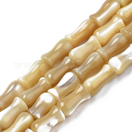 Wholesale Natural Trochid Shell/Trochus Shell Beads Strands