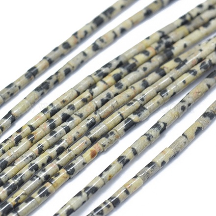 Chapelets de perles en jaspe dalmatien naturelle G-F631-B07-1