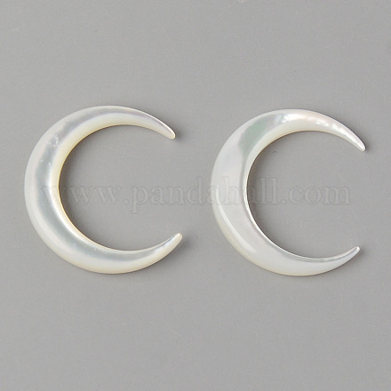 Perlas de concha de nácar de concha blanca natural SHEL-N026-68-1
