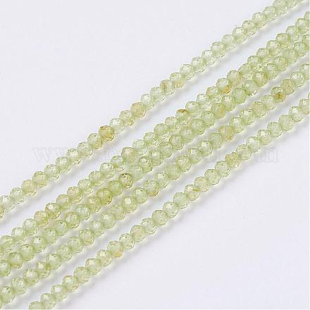 Chapelets de perles en péridot naturel G-P278-15-2mm-1