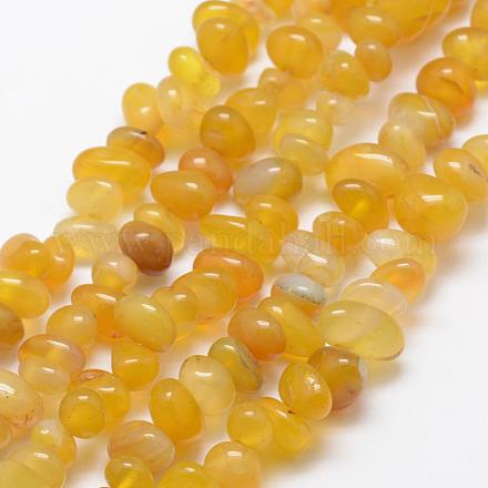 Natürliche gelbe Achat Perlen Stränge G-F521-11-1