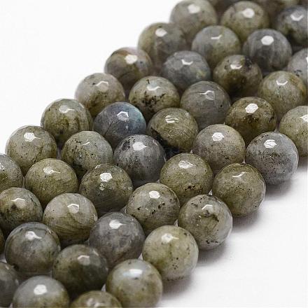 Natural Labradorite Beads Strands G-D840-10-10mm-1