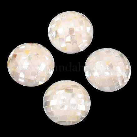 Perles de coquillage blanc naturel SHEL-F007-16B-1