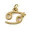 316L Surgical Stainless Steel Pendants, Constellation Charms, with Jump Ring, Golden, Cancer, 9.5x11x1.5mm, Hole: 2.5mm