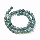 Chapelets de perles d'agate naturelle TDZI-I003-06B-01-2