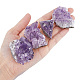 SUPERFINDINGS 4Pcs 4 Style Natural Amethyst Clusters Crystal Cluster Gemstone Irregular Natural Druzy Geode 37~70x26.5~45x19~40mm Electroplated Cluster Geode G-FH0002-04-3