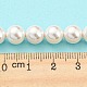 Brins de perles de coquillages naturels galvanisés SHEL-F008-03B-01-4