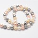 Cuentas perlas de concha de perla BSHE-L017-17-4
