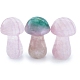 Figurines de champignons curatifs en fluorite naturelle PW-WG61562-04-1