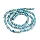 Natural Blue Opal Beads Strands G-K315-B05-B-4